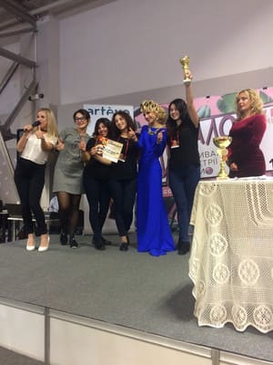 Детальніше про статтю Битва салонів 2017