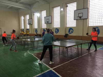 НАСТІЛЬНИЙ ТЕНІС