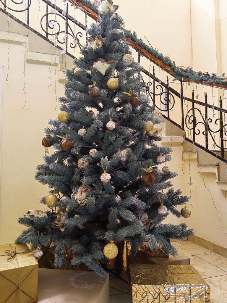 Детальніше про статтю Кваліфікаційні роботи учнів флористичного напрямку